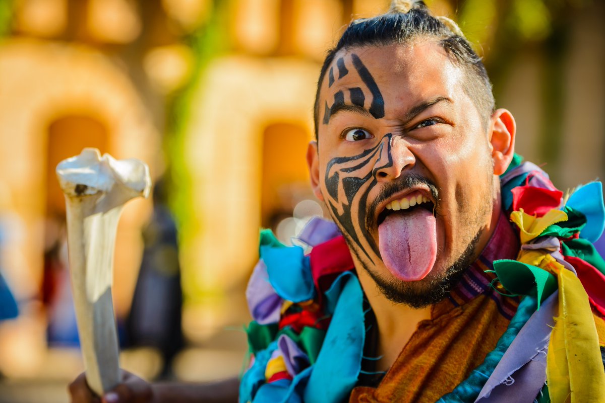 ebook vertebrate animal and related viruses dna viruses 1981