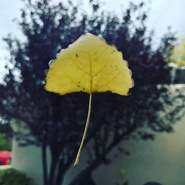 SFLukeStyle's tweet image. It’s Fall. Hang in there. 10/3/18 ift.tt/2OiczsF