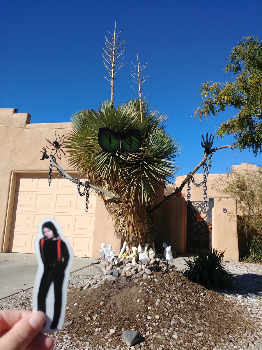 JenDurama's tweet photo. Pocket Benjamin Halloween scene of the day. Booga booga booga. https://t.co/cBggAmkLuJ