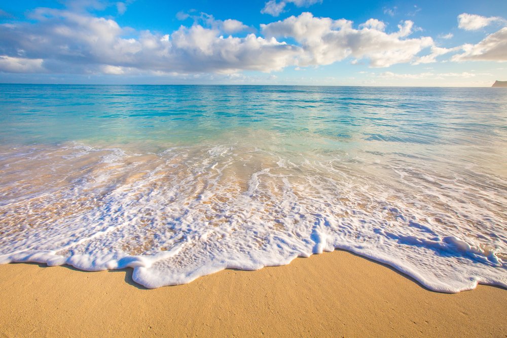 GoWaikiki_'s tweet photo. Welcome to Go Waikiki Shuttle! $18 Per Person. The Best-Rated Luxury Fleet and Airport Shuttle Services in Honolulu, Hawaii!! #gowaikiki #shuttleservices #hawaiitourservices #luxuryairportshuttle https://t.co/WIRu6SYd6K