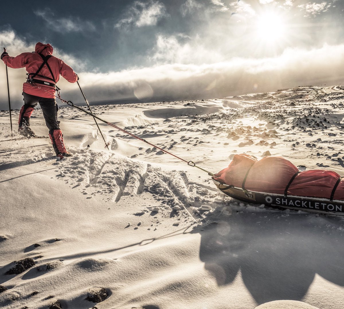 Shackleton tweet media