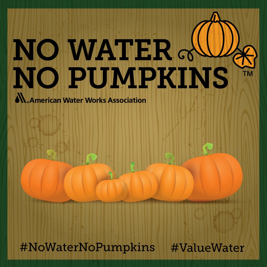 awwa's tweet image. Today is Imagine a Day Without Water. A day to appreciate our water and water services. Because without them, we wouldn't have much! #ValueWater #NoWaterNoShower #NoWaterNoLemonade #NoWaterNoCider #NoWaterNoPumpkins bit.ly/2nzkFfW