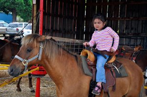 Every weekend in October is harvest time at Aurora's Fir Point Farms. Fall at the farm is all about having a great time with family. Pick your own pumpkins in their Pumpkin Patch, celebrate Autumn & enjoy many fun activities: firpointfarms.com #auroraoregon