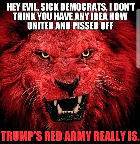 Crusader7771's tweet photo. @TheDLCC You snowflakes are in for ANOTHER surprise. You vagina-wearing libturds are an embarresment to the word "woman"  #neverDEMONcrat https://t.co/8RUDr1kZLv