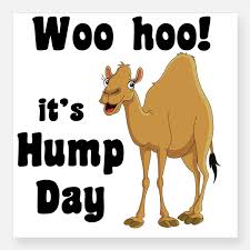 pengenins's tweet photo. It's Wednesday, let's save a lot of money!! Call 877-539-2533 to receive a car insurance quote within minutes. Go online and purchase a policy and receive a $50 gift card!
https://t.co/yO3T21QTQn https://t.co/FzgLFD3DFk