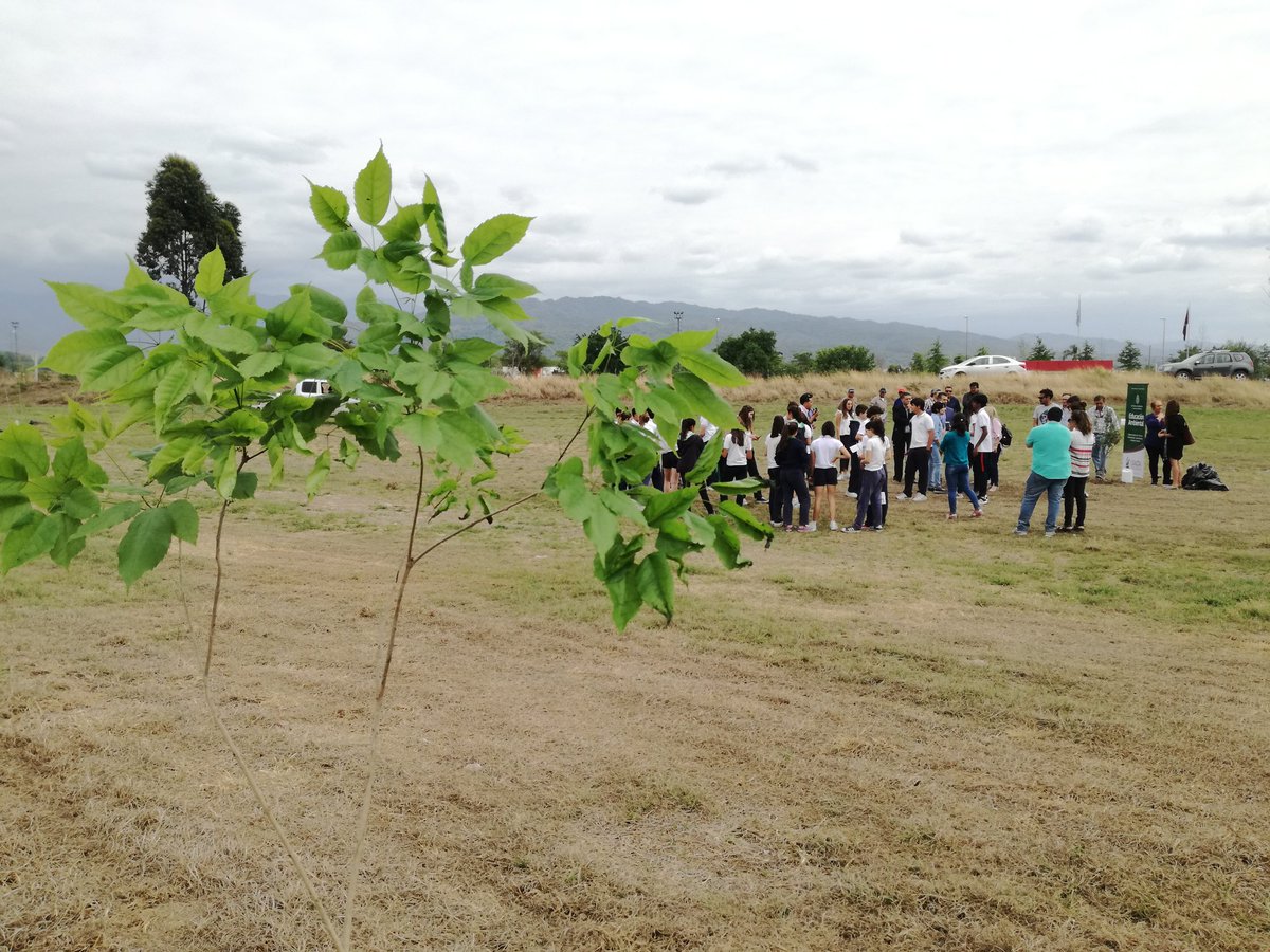AmbientemuniSa's tweet photo. 🌳 Seguimos aumentando el #ArboladoUrbano y creando #MicroBosques
✅ Junto al colegio Uzzi, Club Shalom, Embajada de Israel y Federación Argentina de Municipios plantamos 27 árboles
🌳 Olivo, Lapachos Rosados, Tipas y Liquidambar
🌎 Jornada Ambiental por la Paz 🌎 https://t.co/puiPfDHYjt