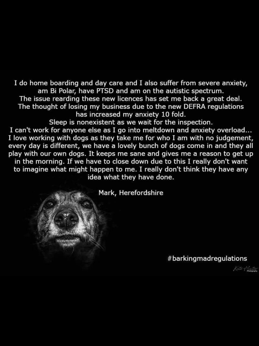 katherinenpaul's tweet image. Dear @MindCharity, @JackieDP, @mentalhealth @michaelgove this is the real human cost of @DefraGovUk new home dog boarding &amp;amp; daycare regulations on small businesses owned by people dealing with mental health issues. #barkingmadregulations 
findpetboarding.com/licensing/