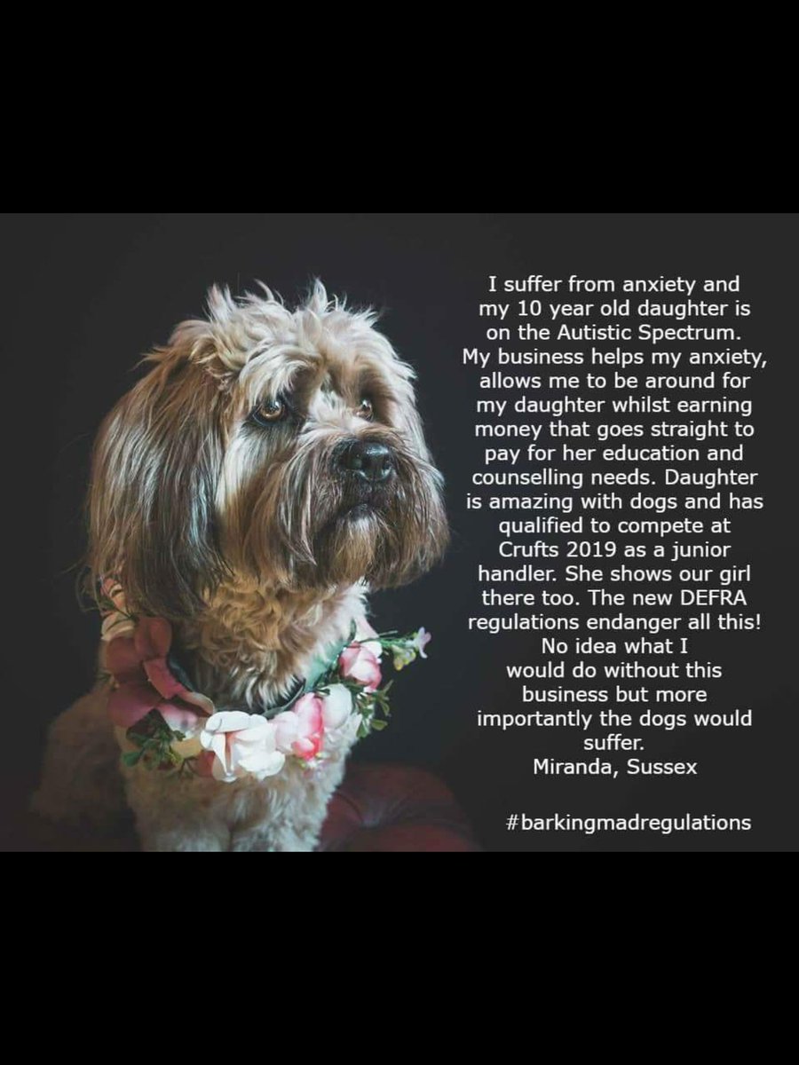 katherinenpaul's tweet image. Dear @MindCharity, @JackieDP, @mentalhealth @michaelgove this is the real human cost of @DefraGovUk new home dog boarding &amp;amp; daycare regulations on small businesses owned by people dealing with mental health issues. #barkingmadregulations 
findpetboarding.com/licensing/