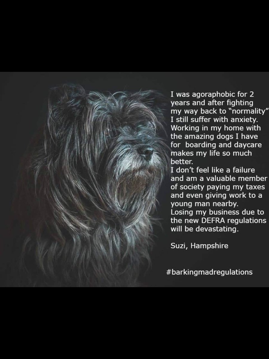 katherinenpaul's tweet image. Dear @MindCharity, @JackieDP, @mentalhealth @michaelgove this is the real human cost of @DefraGovUk new home dog boarding &amp;amp; daycare regulations on small businesses owned by people dealing with mental health issues. #barkingmadregulations 
findpetboarding.com/licensing/