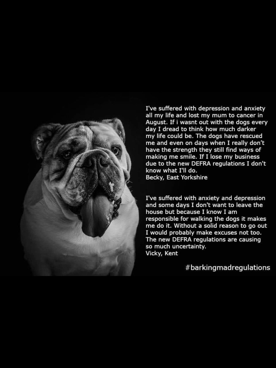 katherinenpaul's tweet image. Dear @MindCharity, @JackieDP, @mentalhealth @michaelgove this is the real human cost of @DefraGovUk new home dog boarding &amp;amp; daycare regulations on small businesses owned by people dealing with mental health issues. #barkingmadregulations 
findpetboarding.com/licensing/