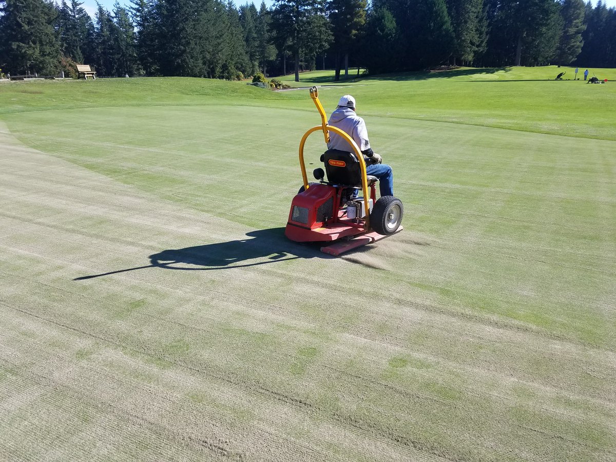 patrickmckenz's tweet photo. Looking good for 24hrs post punch/double verticut @GoldMtGolf https://t.co/AsOmvnQu9W