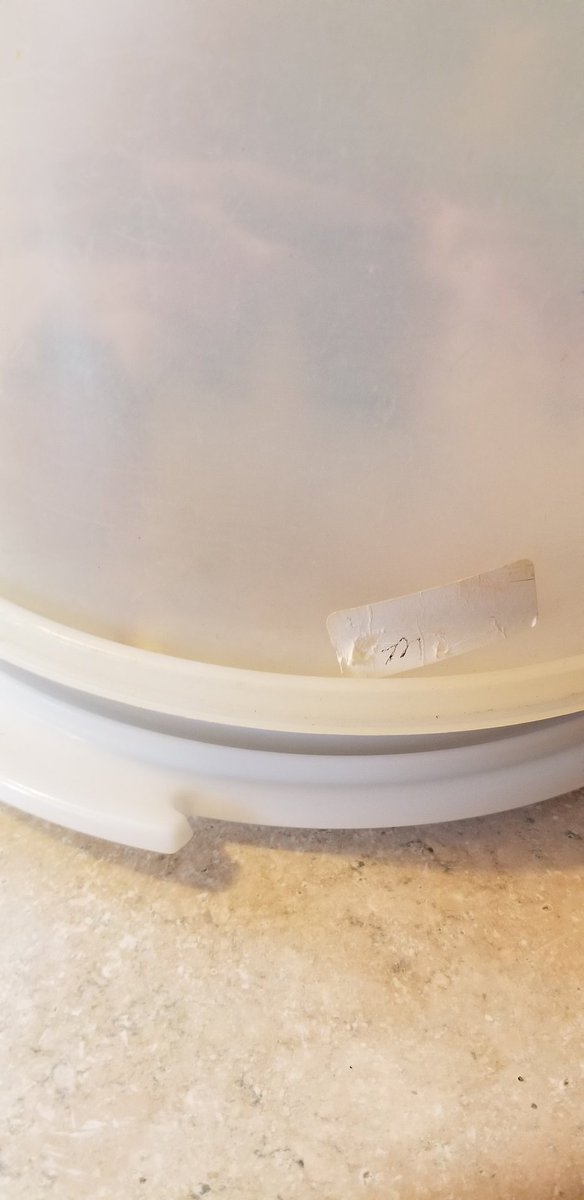 VerySrslyKant's tweet photo. This is my great gramma, Mosie's, cake plate. This is her sticker. And she's named after Moses. But who spreads the sea? I forget. 

It's a nocerlty sized monument. Not like a tiny candy bar, but like a HUGE check. https://t.co/TLhTl6xGjR