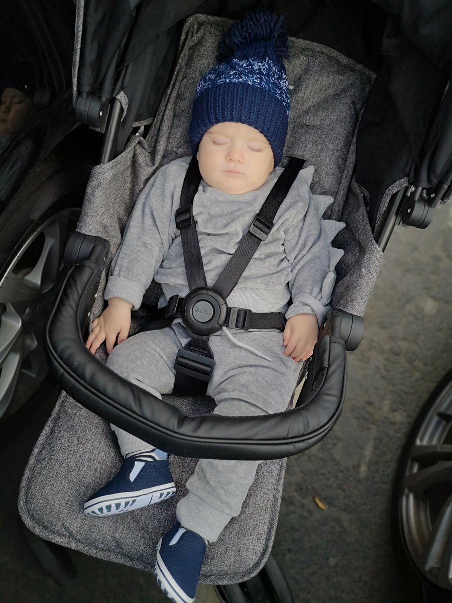 lucy3uk's tweet photo. My big boy 💙 https://t.co/yqHHOUWfZJ