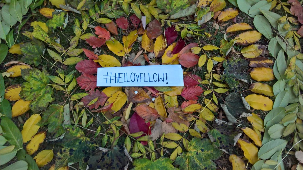 WeyesCNE's tweet photo. Girl's Group #nunsmoorpark #helloyellow #it'soknottobeok #worldmentalhealthday2018 https://t.co/CuEkeUnA5c