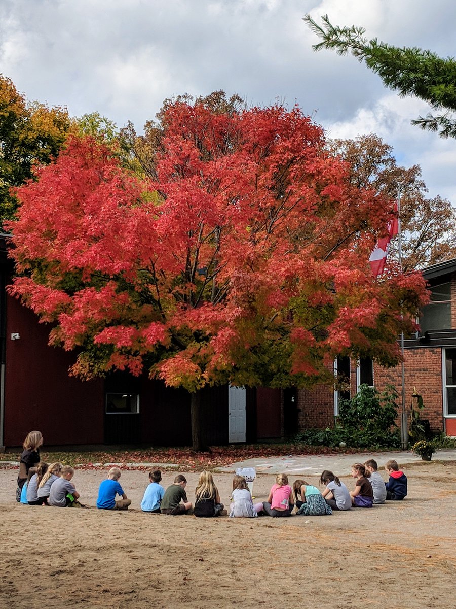 Outdoor learning on a beautiful day!