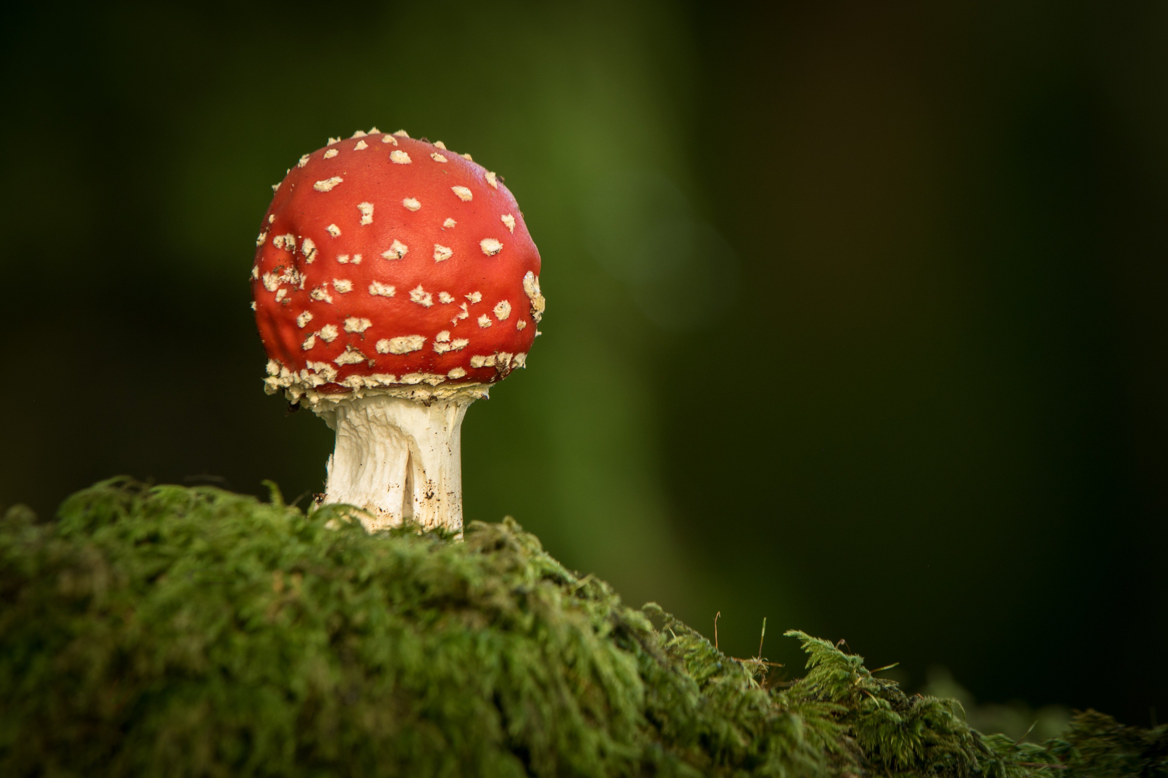 Waterford Camera Club (waterfordcamera) / Twitter