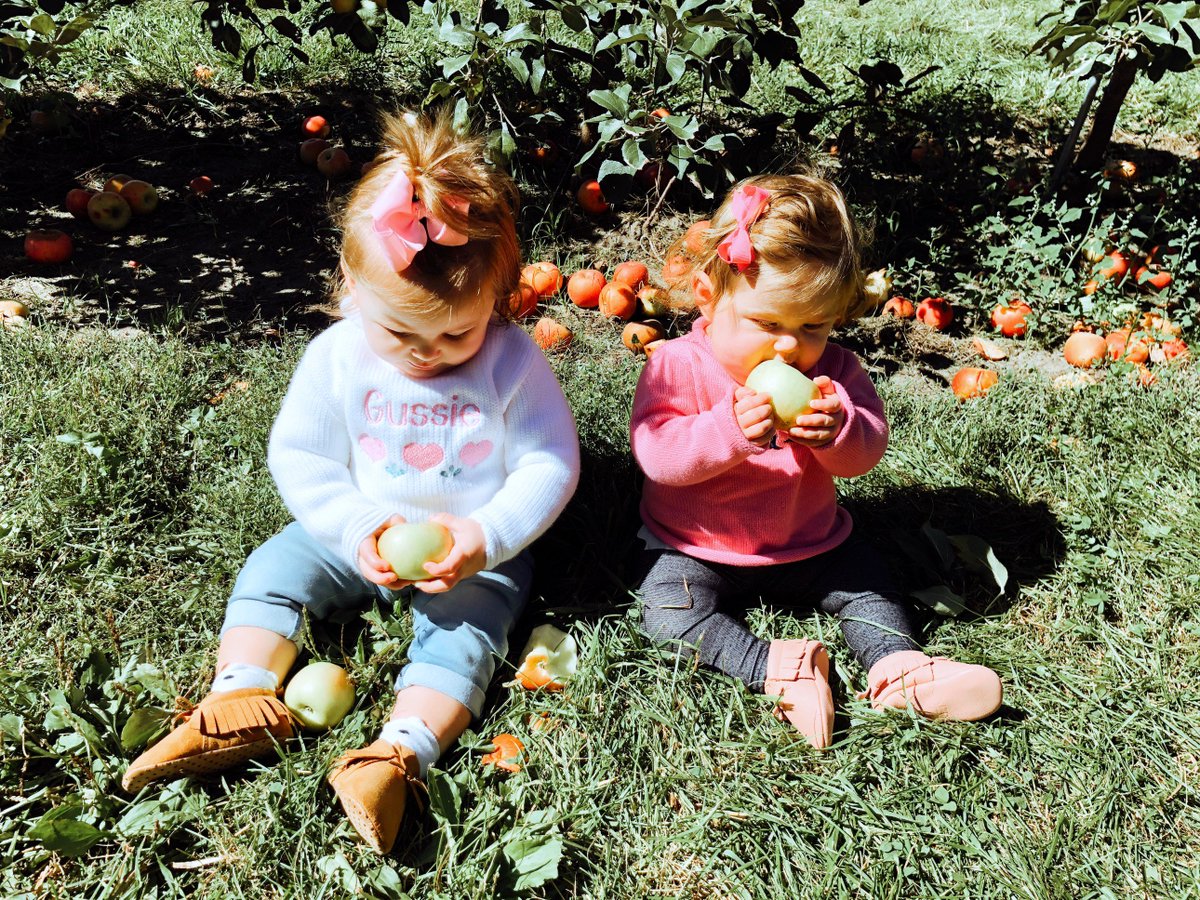 sharing 5 tips for apple picking with a baby: 
bit.ly/2yjU8tF <a href="/buybuyBABY/">buybuyBABY</a> #buybuybabypartner