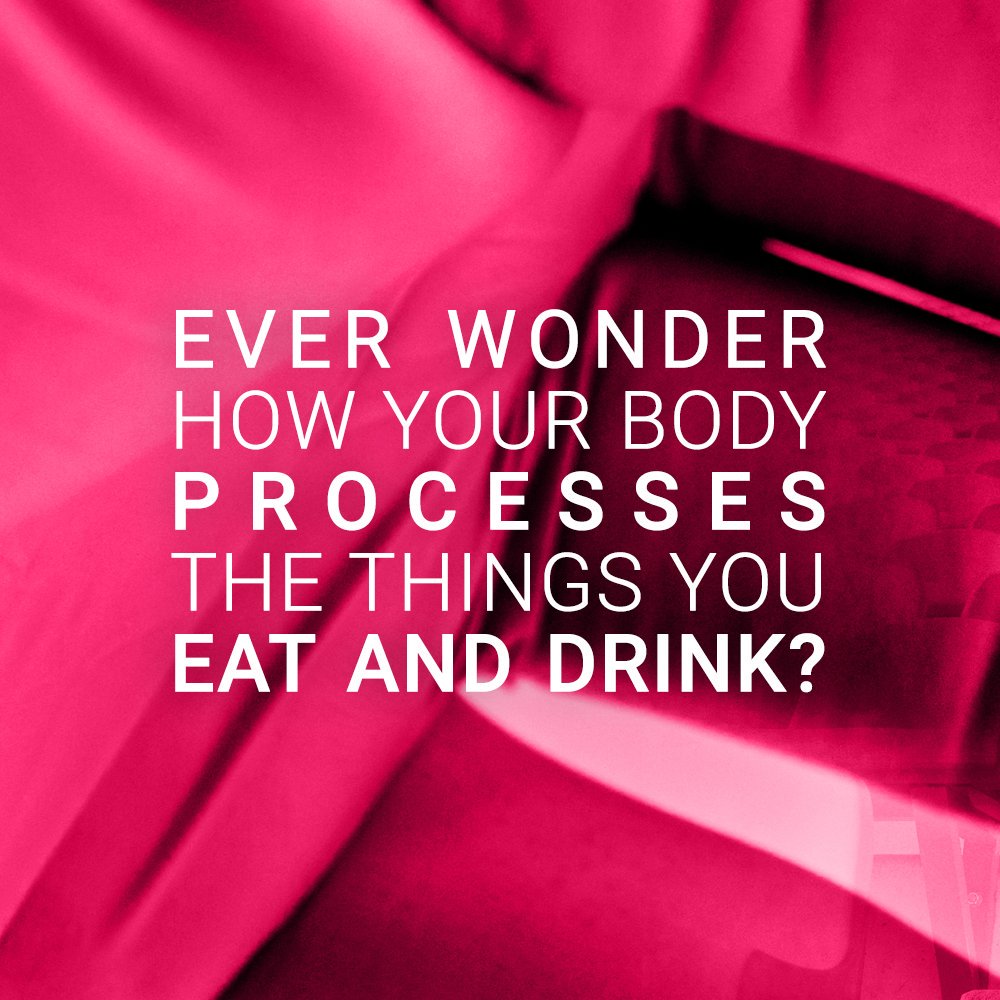 gene2know's tweet photo. Ever wonder how your body processes the things you eat and drink? Your body’s engine for this is called your metabolism... #gene2know #g2k #g2kLife #g2kApp #PGx #DiscoverPGx https://t.co/6Q3ref66OR