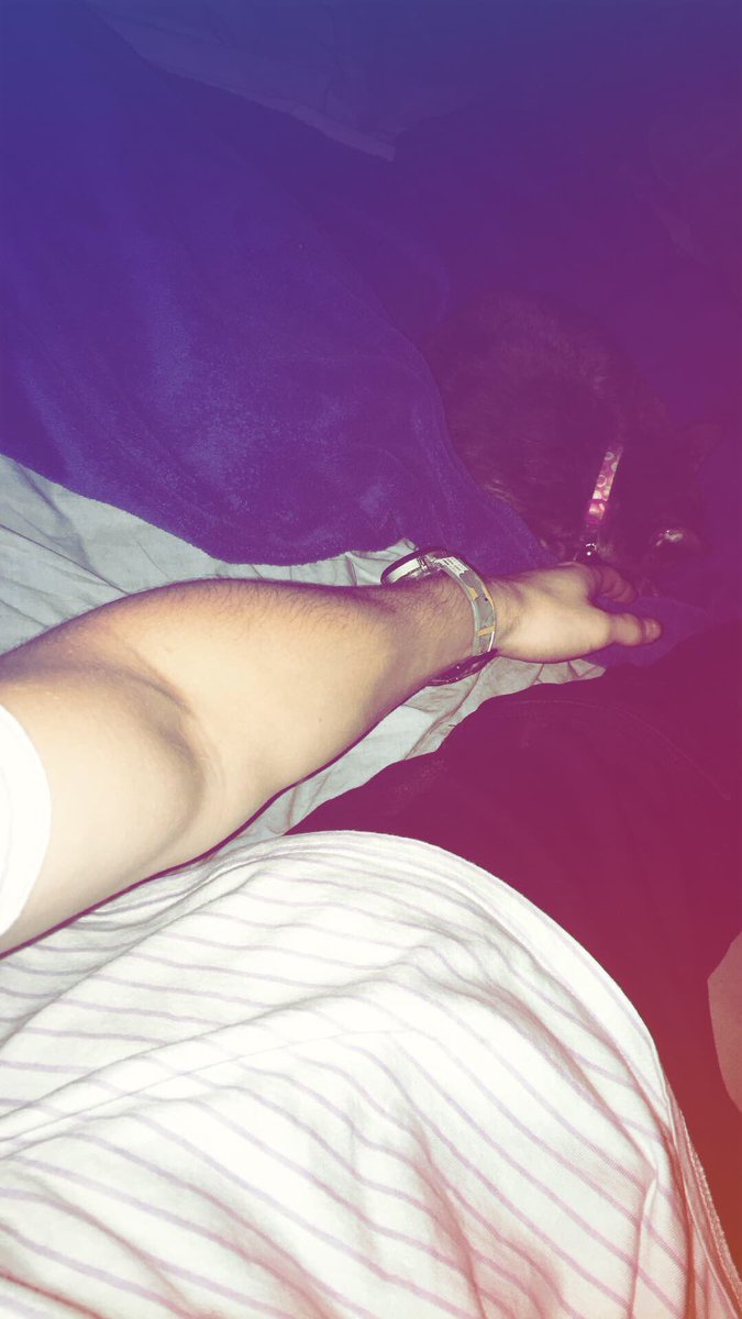 JoshuaOverholt's tweet image. this kitten always has to sleep next to me 😹