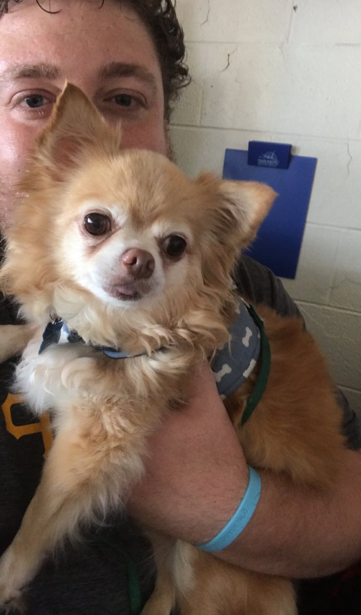 Had a great time hanging with Lukie the Therapy Dog today 🐶