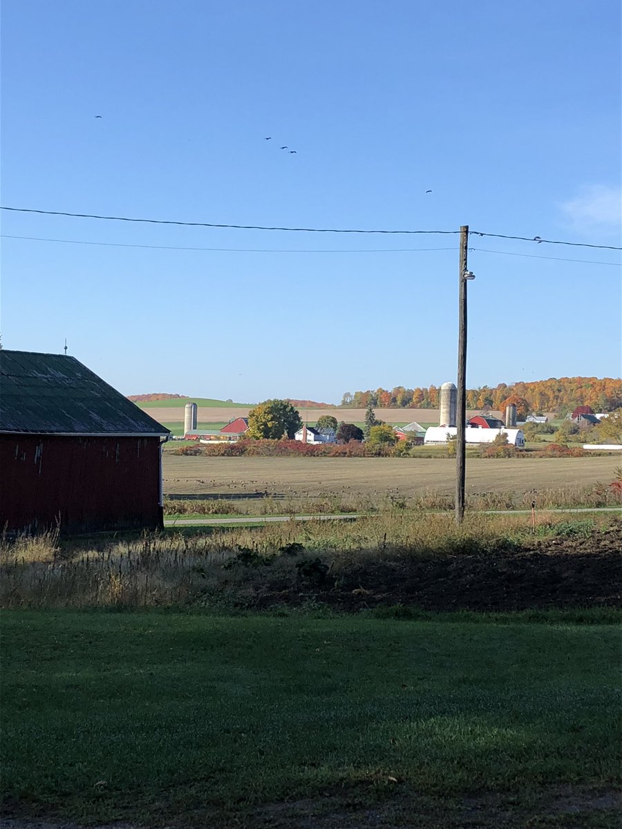 momma_rocker's tweet image. She’s a beauty day in the neighbourhood... feels like 33C  #falldays  #favouritetimeoftheyear