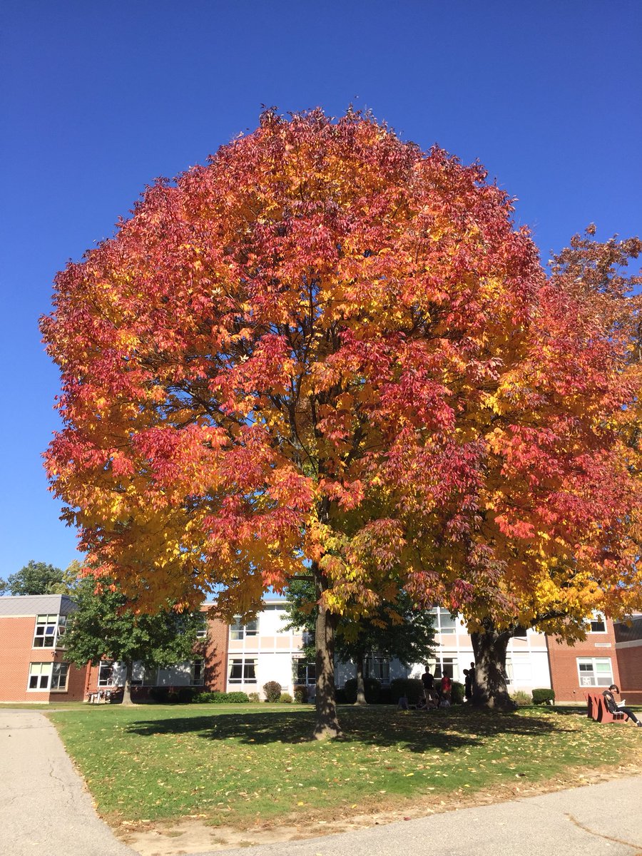 Mrs. Sharland tweet media