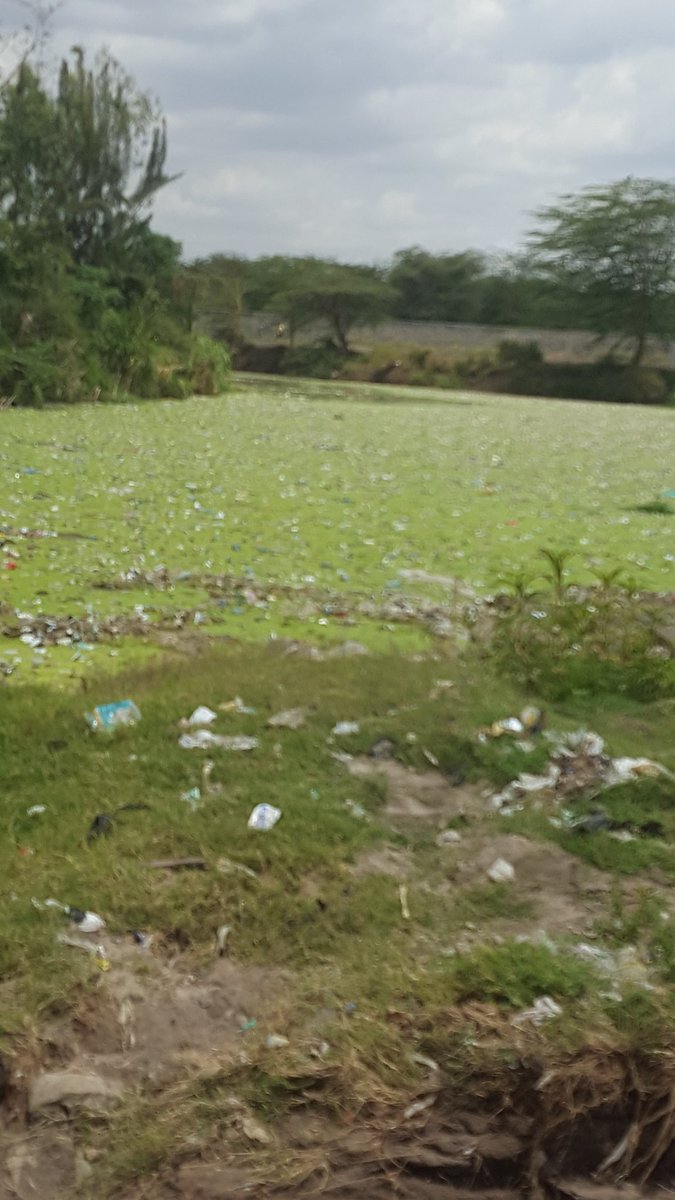 MarecheDayna's tweet photo. @DrAlfredMutua This is the state of river athi after stage 39. its a total mess and people wash cloths fetch water and some bath there..... please check on this https://t.co/1Aw7MBaE1F