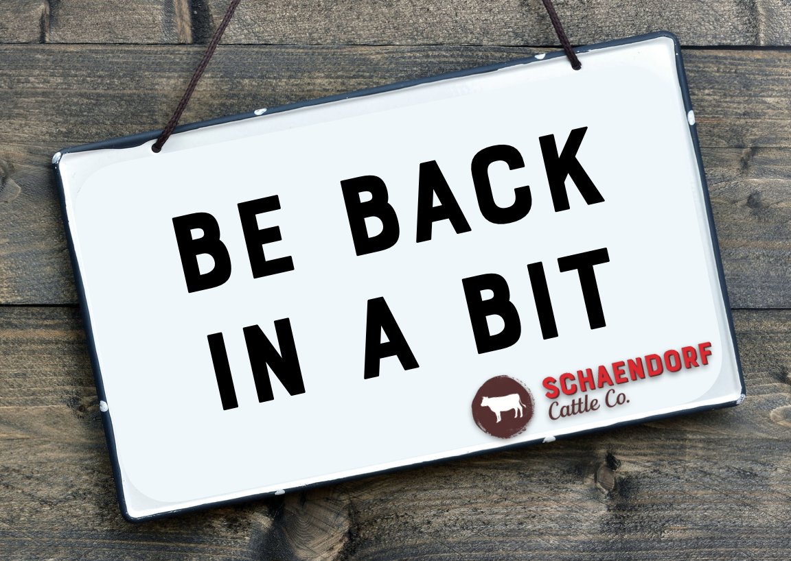 Schaendorf Cattle Co tweet media