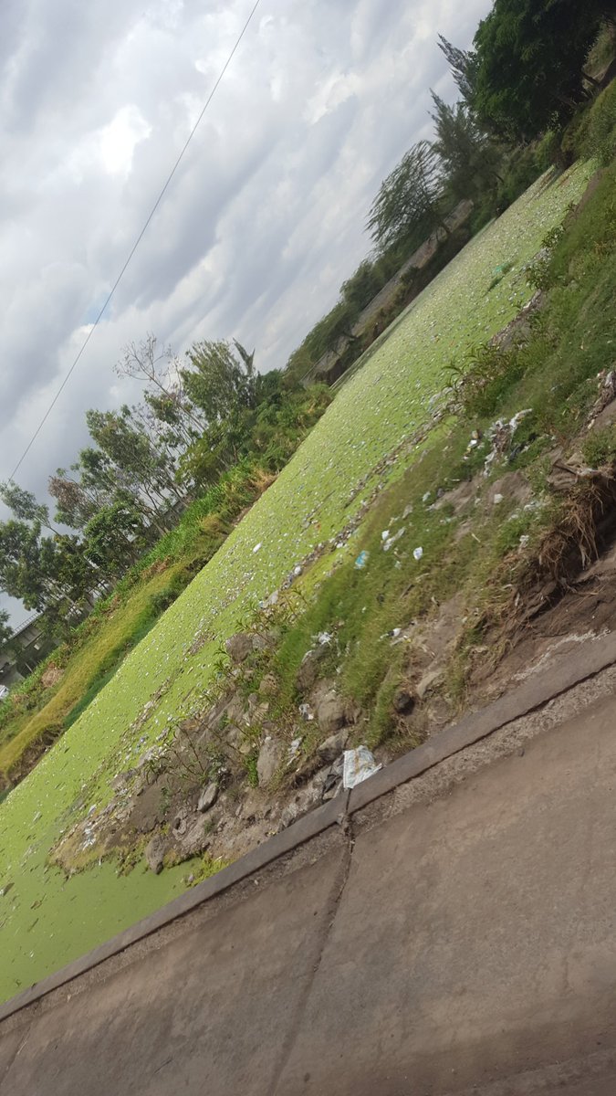 MarecheDayna's tweet photo. @Machakos1stLady state of river athi from stage 39..... its a mess and people bath, wash cloths and even fetch this water. help take care of the environment or the river before its late https://t.co/rgkHv5Ce1q