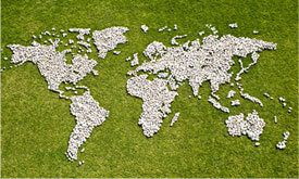 SolarChiefs's tweet image. Be Earth friendly, shop now buff.ly/2y9yHem