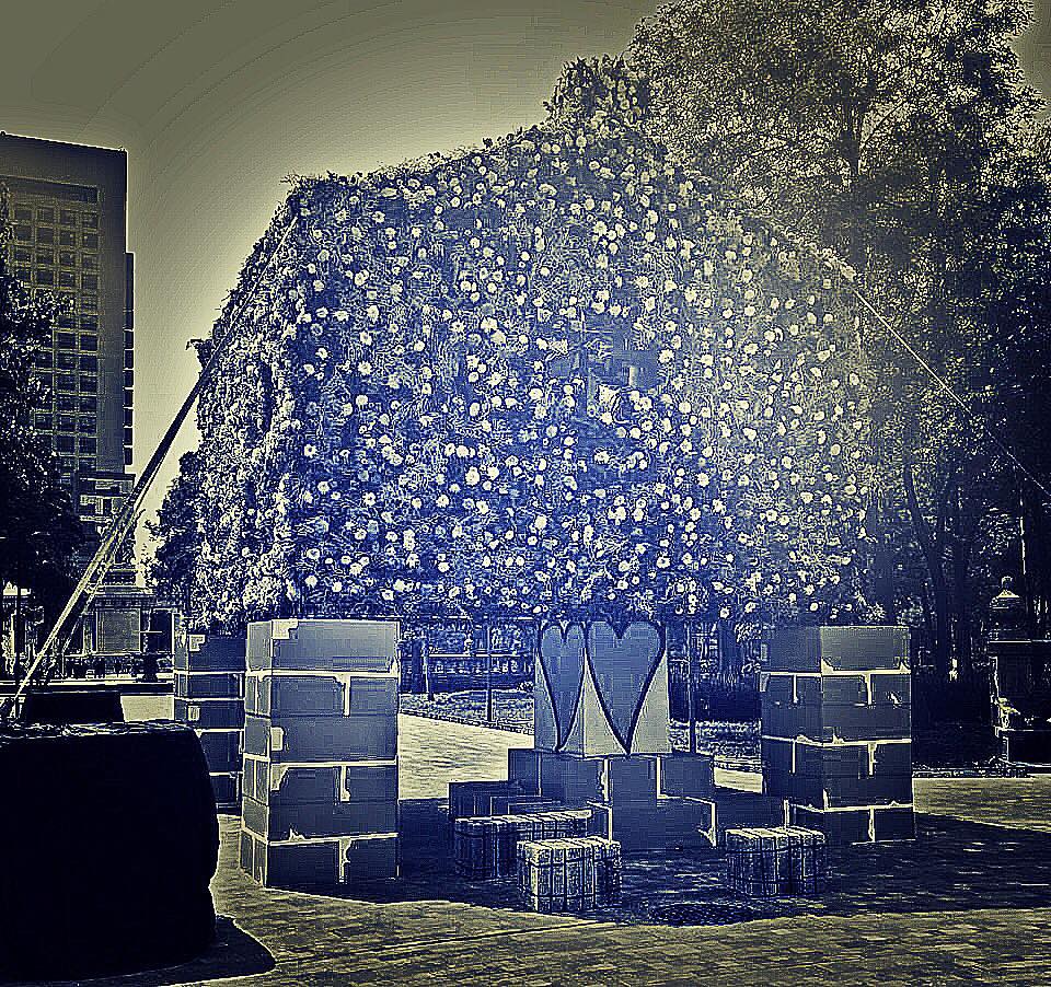 mxbritish's tweet photo. ¡La instalación del estudio de arquitectura #StudioMUTT ya casi está lista en la Alameda Central CDMX para que la visites durante @AbiertoDeDiseno!
Más información: https://t.co/f6KgSdxzTq
#InnBloomCDMX https://t.co/sylTdMp2Q5