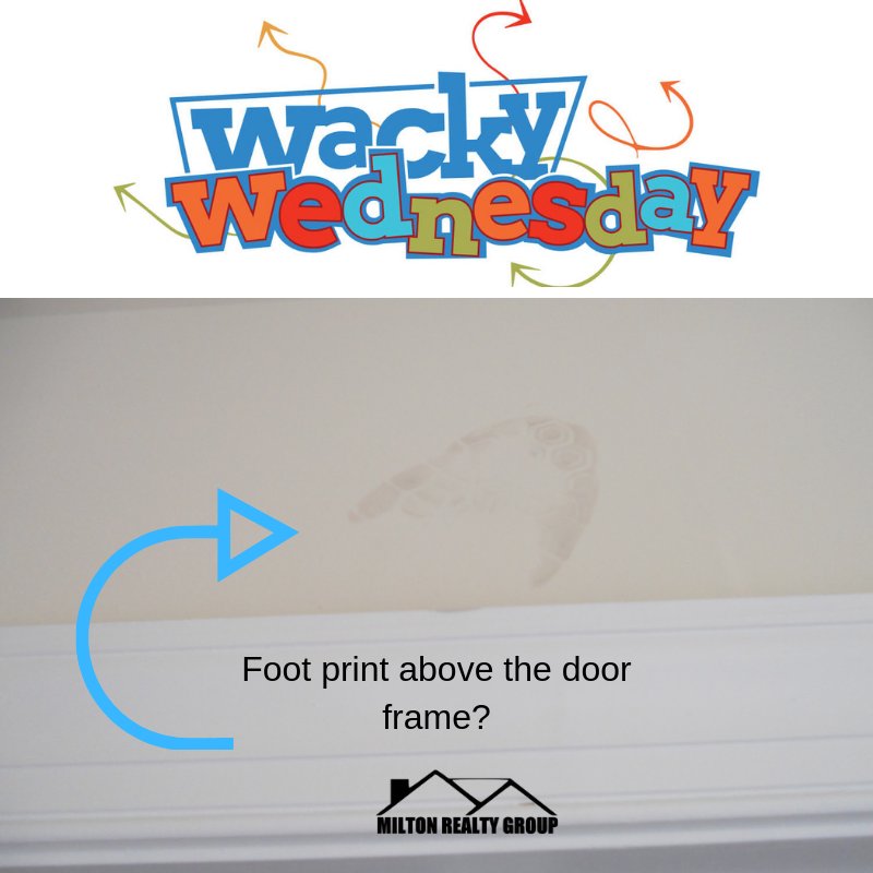 MiltonRealtyLLC's tweet photo. Wacky Wednesday! You never know what you're going to find during an inspection. #miltonrealtygroup #MRG #rentalproperty #propertymanagement #fullservicepropertymanagement #harnettcounty #surroundingwakecounties #homesforrent #rentalhomes #inspection #wackywednesday #humpday https://t.co/inLP8N3oDG