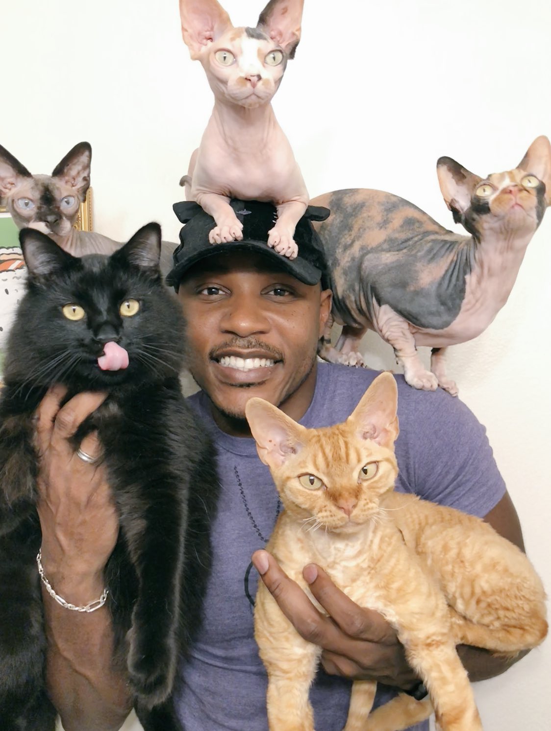 iAmMoshow - The Cat Rapper ™ on Twitter: