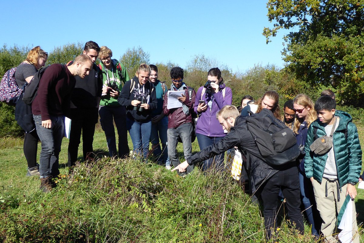 hatbirder's tweet photo. One wasp spider getting a whole lot of attention at @KneppSafaris yesterday #MScSISS #MScPlDiv #MScWildMan #MScEntoRes https://t.co/qcDoWRaQrC