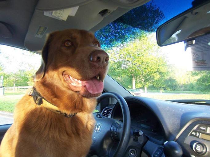 JadainGA's tweet image. I saved big at the pump thanks to #KrogerCo! #FuelPointsForDays #Ad #MyMagazineSharing mymagazinesharing.us