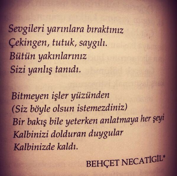 Tugce Demirağan (@tdemiragan) on Twitter photo 