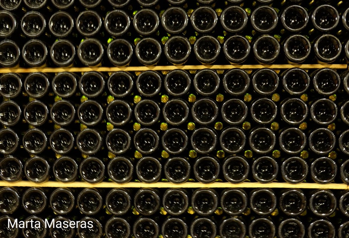 mmaserasf's tweet photo. 4 De visita pel celler @analec1. #aralleidawine #ThePhotoHour #photography #photooftheday #500pxrtg #urgellturisme #aralleida #adnlleida #nolec 🎗️ https://t.co/lrLlF28b66
