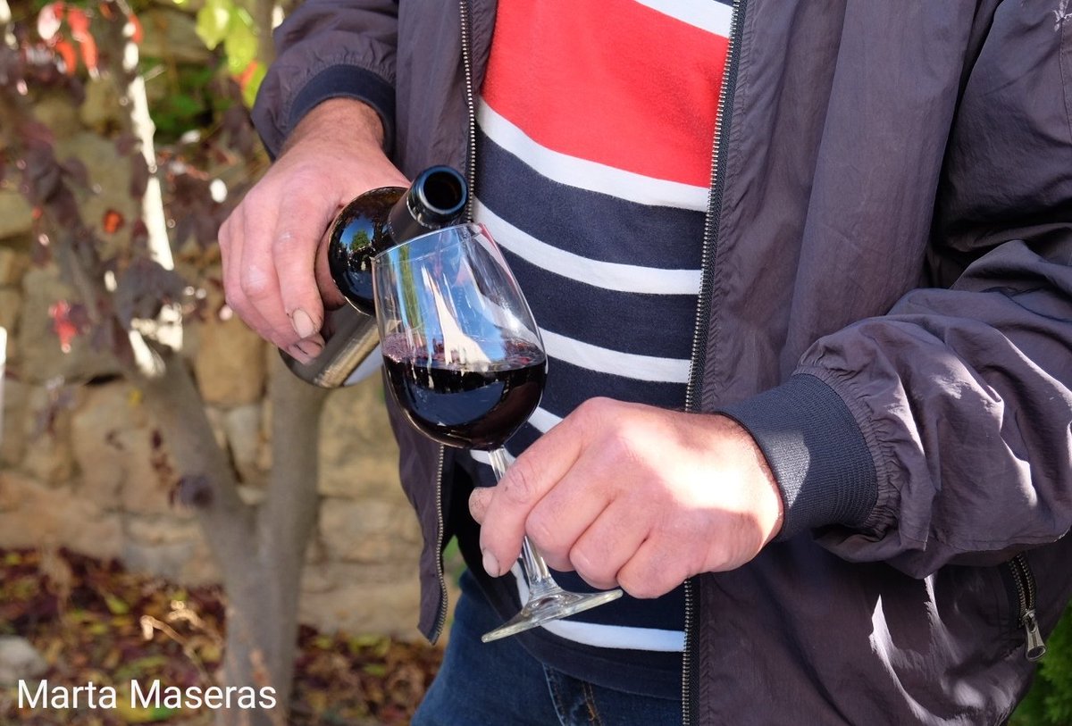 mmaserasf's tweet photo. 4 De visita pel celler @analec1. #aralleidawine #ThePhotoHour #photography #photooftheday #500pxrtg #urgellturisme #aralleida #adnlleida #nolec 🎗️ https://t.co/lrLlF28b66