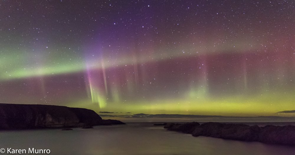 Karen Munro tweet media