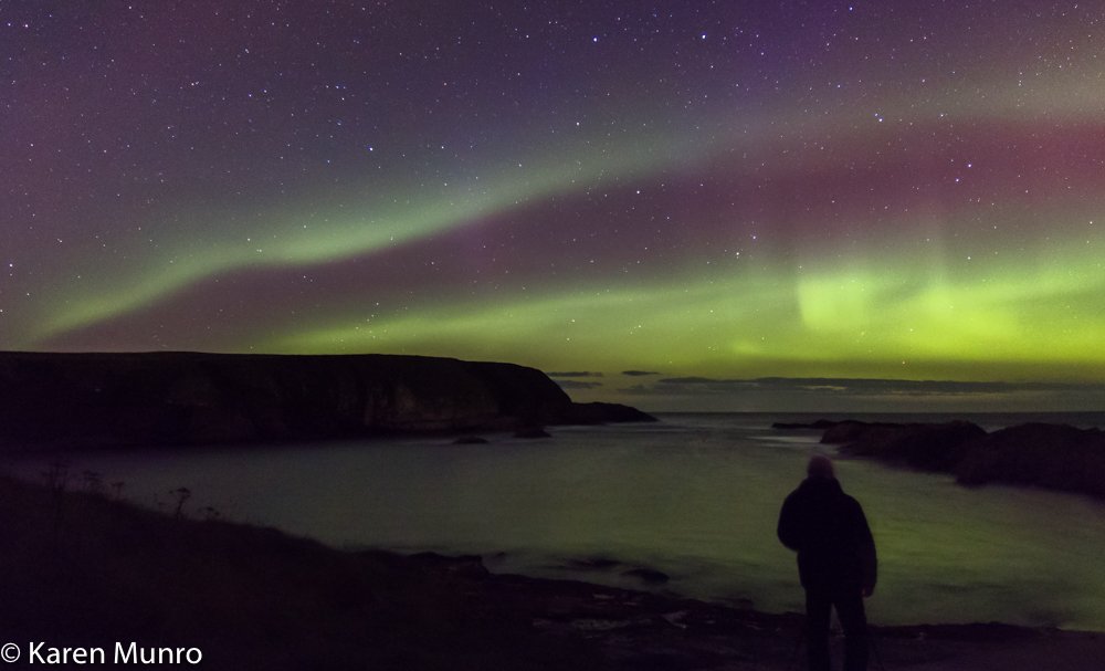 Karen Munro tweet media