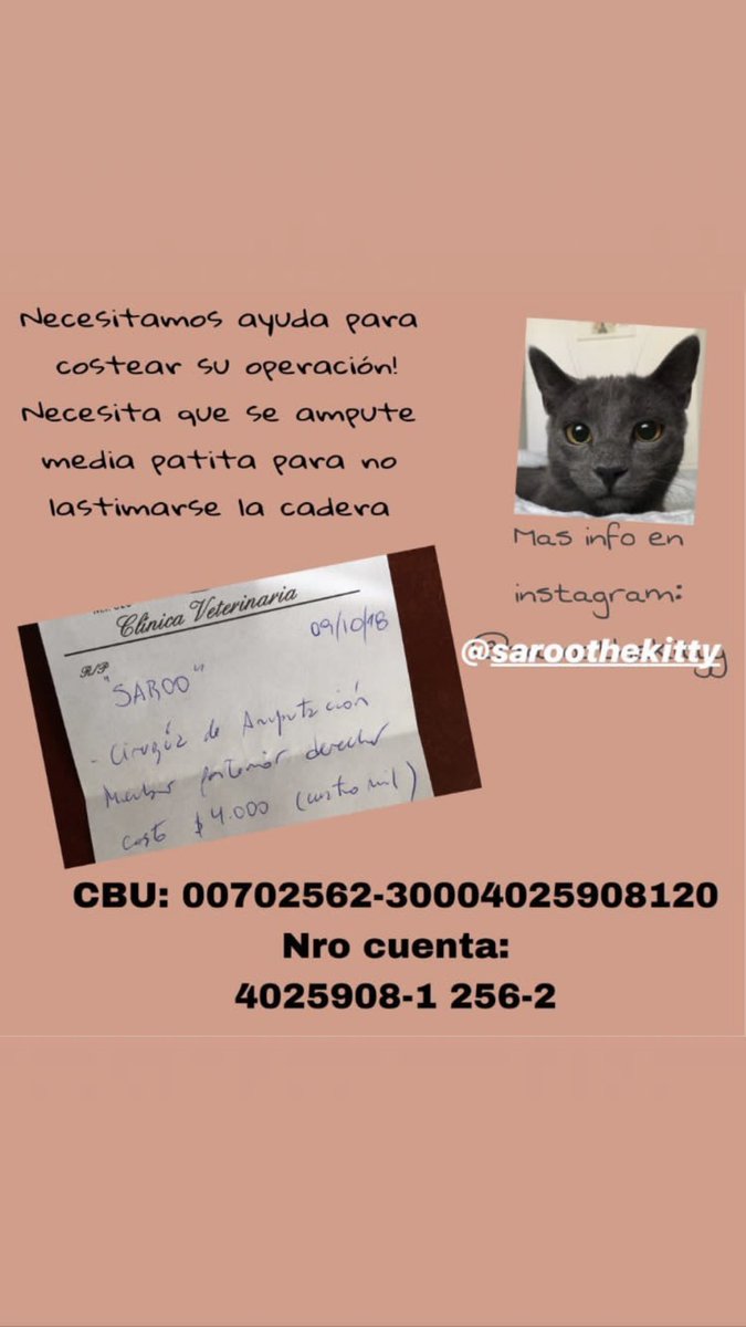 melanydahiana's tweet photo. Por favor difundan!!🙏🏻🙏🏻 
Es un gatito de acá Argentina. Cuando nació le quebraron la patita y tiene 3 patas y media.
Si quieren saber más de su historia vayan a su ig @saroothekitty https://t.co/tbugPC00vk
