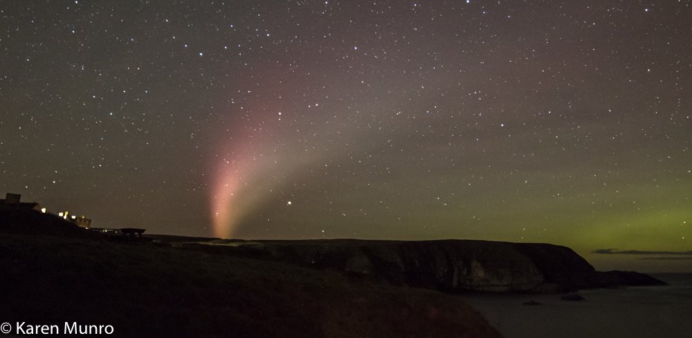 Karen Munro tweet media