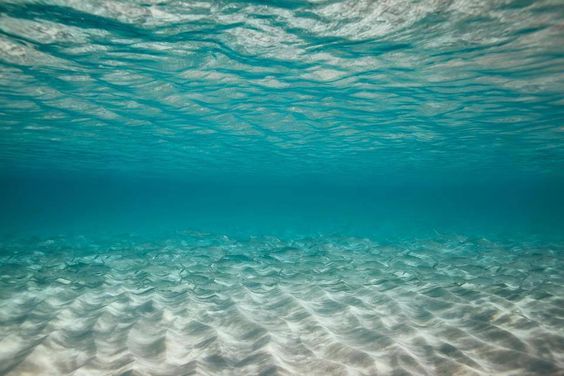 dennajshelton's tweet image. Counsel of the #heart of a man is like deep water, but a man of understanding will draw it out.
~Proverbs

#WednesdayWisdom #heartintelligence #TwentyGems #meditation