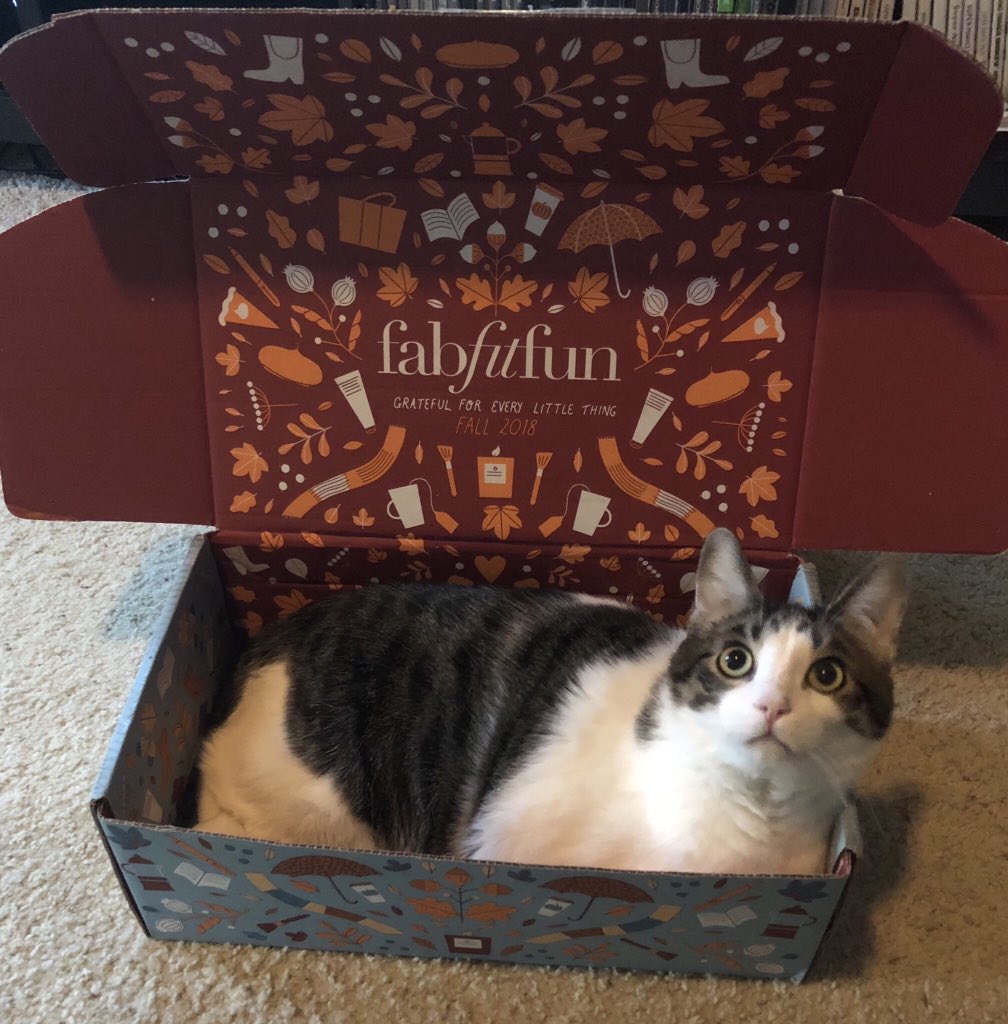 MazurkaCat's tweet photo. I love my mom’s @FabFitFun box! 
She likes it too, but she was more excited like the stuff inside. Lucky me, it’s the perfect size! #fabfitfun #boxcat #CatsOfTwitter https://t.co/ZLxv6K8ZjA