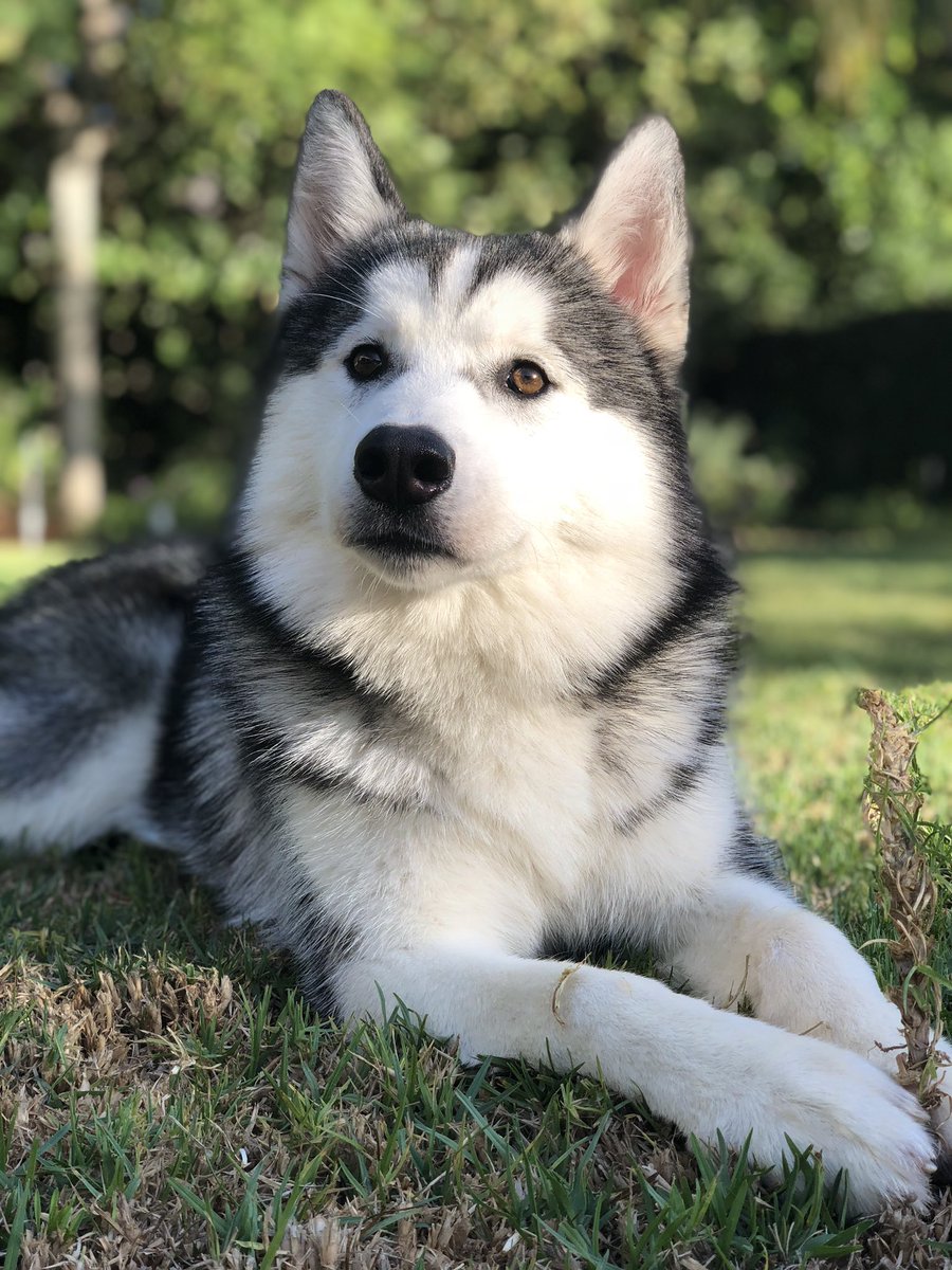 Teeqo's tweet photo. Sky 😍 https://t.co/JK2AJOYckT