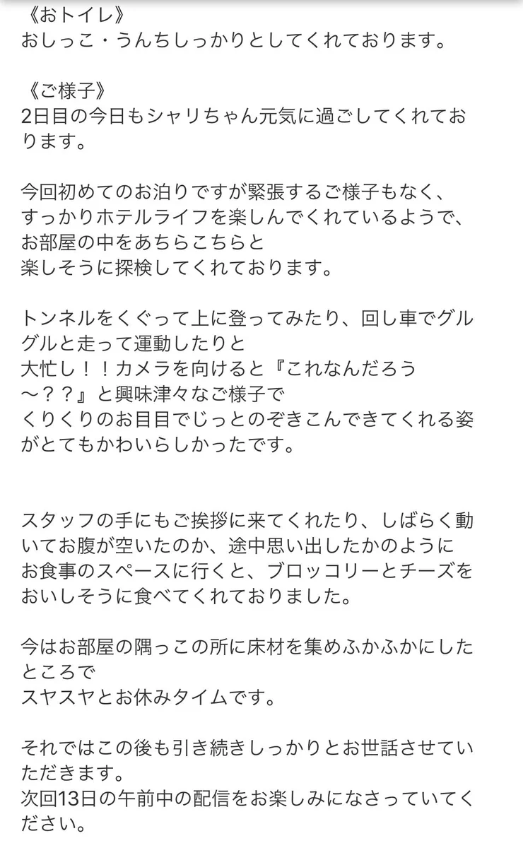 安心して行ってきます！空港のペットホテルの神対応に号泣