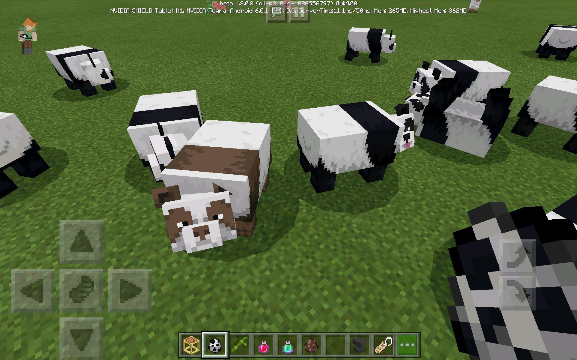 Minecraft News Brown Pandas Are Also A Rare Type Of Panda Found In Minecraft D Minecraft News Brown Pandas Are Also A Rare Type Of Panda Found In Minecraft D