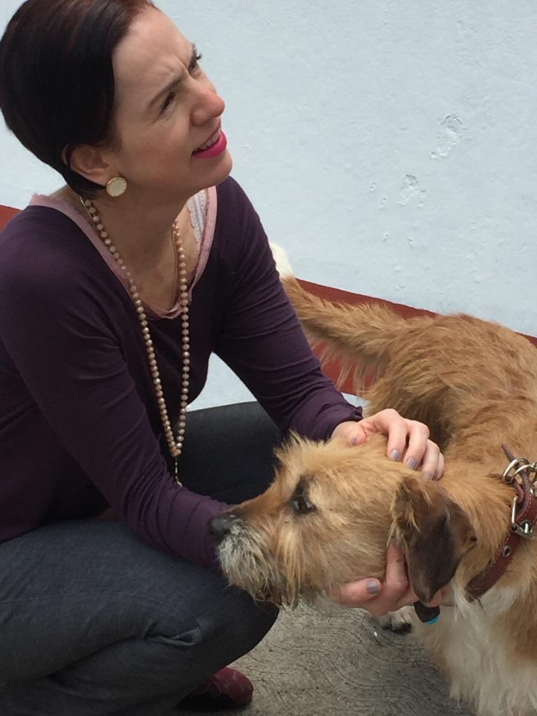 AlbertoEsteva's tweet photo. ⁦@LaydaSansores⁩ instruye a todas las áreas en ⁦@AlcaldiaAlvaroO⁩ para adopción de mascotas “solovinas “ acá Irma recibe a Peregrina quien fue adoptada por La Dirección Gral de Administración ⁦@Claudiashein⁩ ⁦@lopezobrador_⁩ https://t.co/LVQJKPHB1j