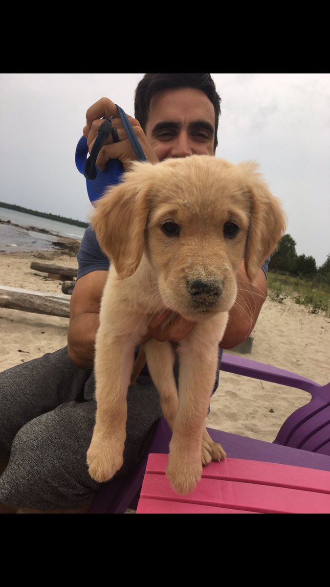 Reflecting on the day I got a puppy - AKA the day I successfully defended my thesis #YorkUConvo