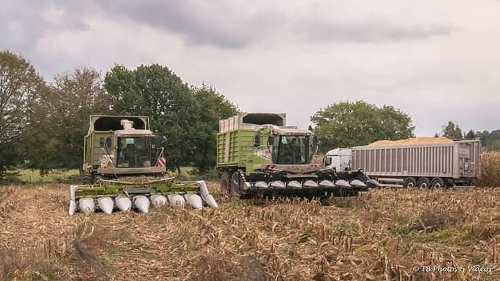 TB Photos & Vidéos tweet media